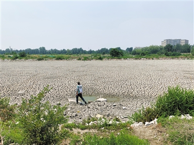 北京城六區(qū)最后一片荒野該如何保護(hù)？