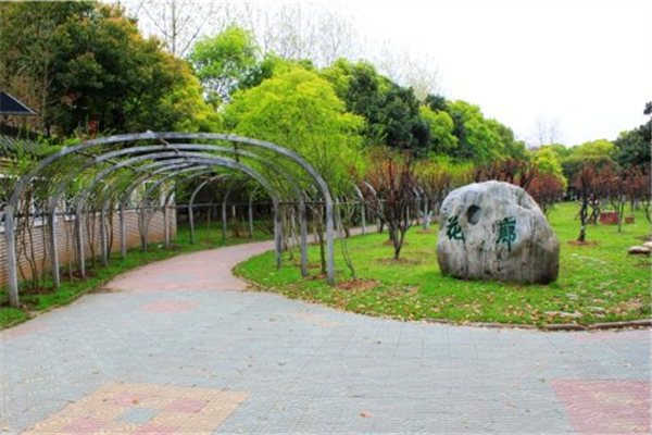 漢水公園：海綿改造讓老舊公園煥發新生命