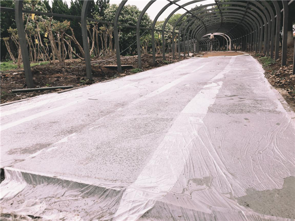 漢水公園：海綿改造讓老舊公園煥發新生命