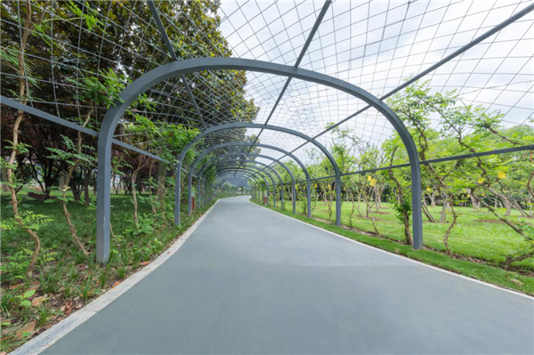 漢水公園：海綿改造讓老舊公園煥發新生命