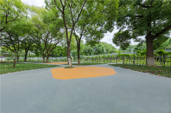 漢水公園：海綿改造讓老舊公園煥發新生命