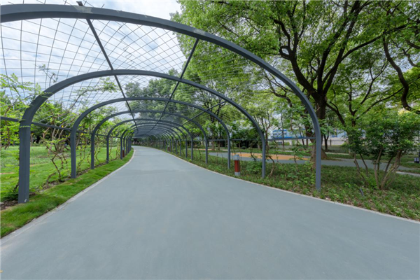 漢水公園：海綿改造讓老舊公園煥發新生命