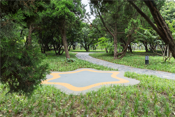 漢水公園：海綿改造讓老舊公園煥發新生命