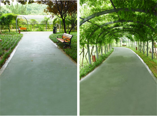 漢水公園：海綿改造讓老舊公園煥發新生命