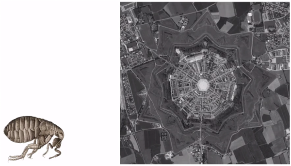 清華大學張利：主動式健康”和可持續發展的理念