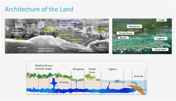 Douglas C. Smith：度假勝地的可持續設計
