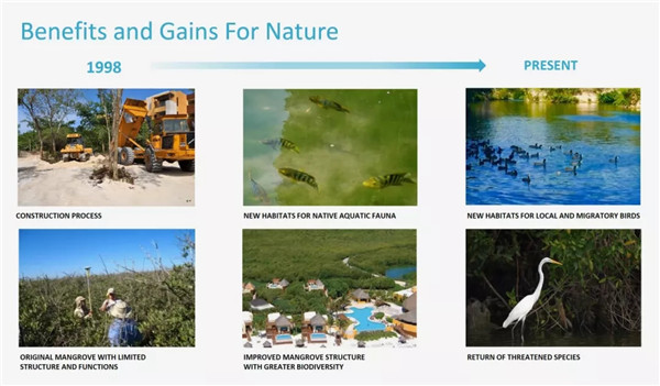 Douglas C. Smith：度假勝地的可持續設計