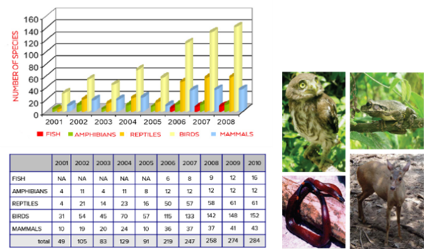 Douglas C. Smith：度假勝地的可持續設計