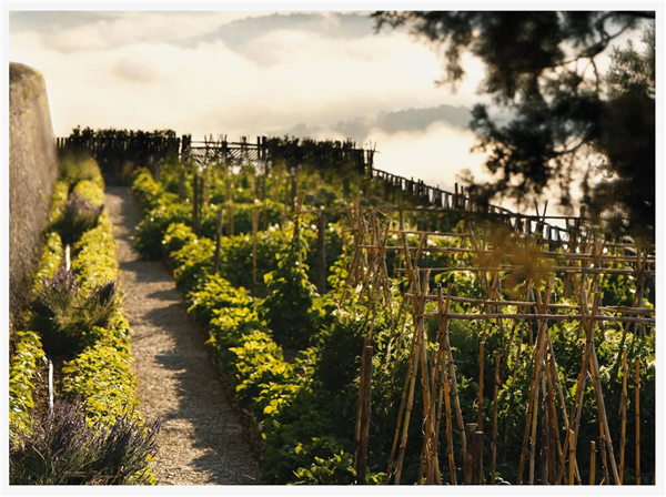 Douglas C. Smith：度假勝地的可持續設計