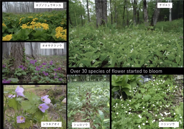 高野文彰：鄉(xiāng)村生活中“景觀之夢”的可能性