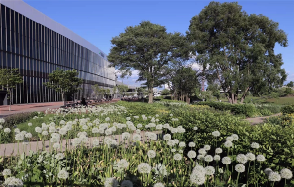 高野文彰：鄉(xiāng)村生活中“景觀之夢”的可能性