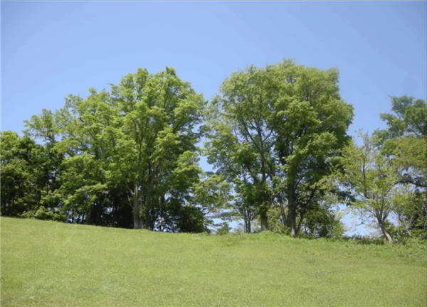 高野文彰：鄉(xiāng)村生活中“景觀之夢”的可能性