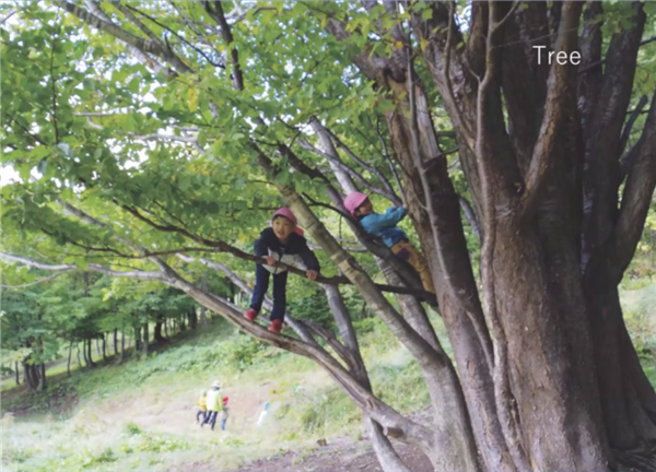高野文彰：鄉(xiāng)村生活中“景觀之夢”的可能性