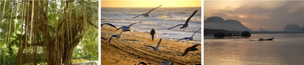 上海日清景觀 | 福州正榮·觀江樾