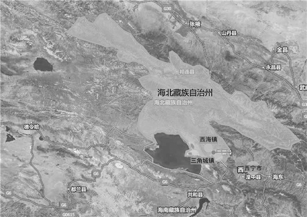 劉玉龍：醫療設施——綠色生態城市的急救站