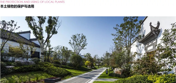 蔣存華：與地域性文化相融合的休閑度假景觀