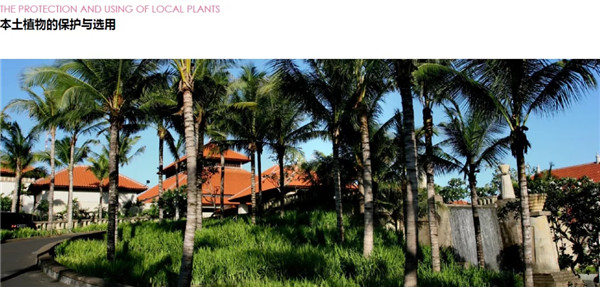 蔣存華：與地域性文化相融合的休閑度假景觀