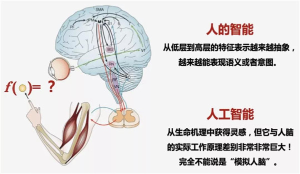 胡潔：人工智能時代的創新設計