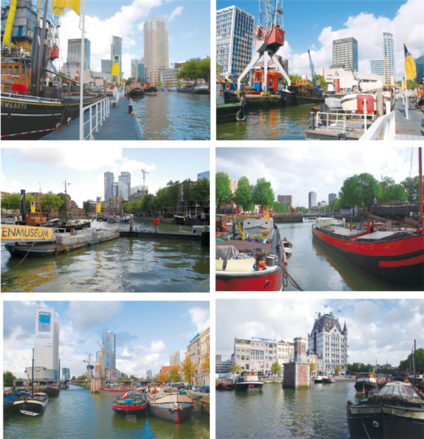 陽建強：城市濱水地區(qū)功能更新與品質(zhì)提升