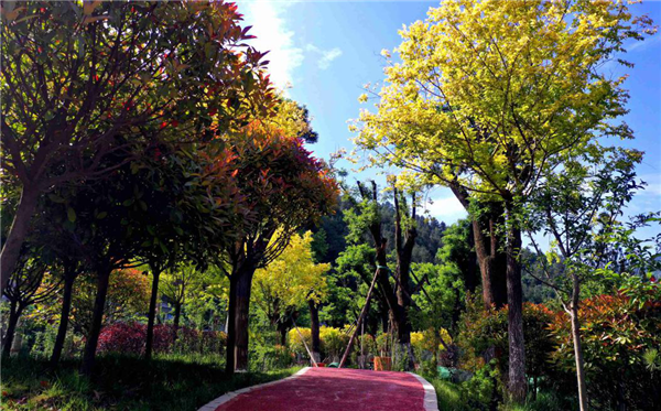 藍田縣葛牌鎮紅色小鎮景觀工程