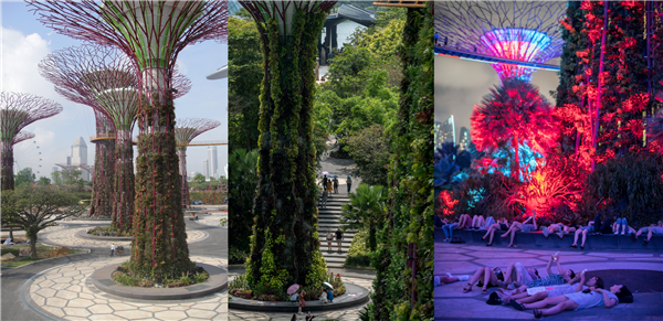 Stefaan Lambreghts：探討自然與想象之城