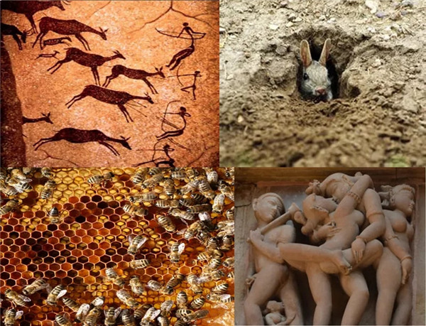 王?。弘s談“自然與建筑的關系”