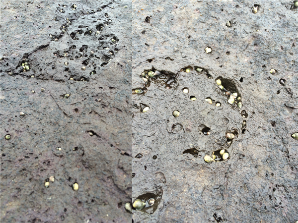 王?。弘s談“自然與建筑的關系”