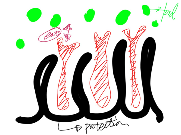 王?。弘s談“自然與建筑的關系”