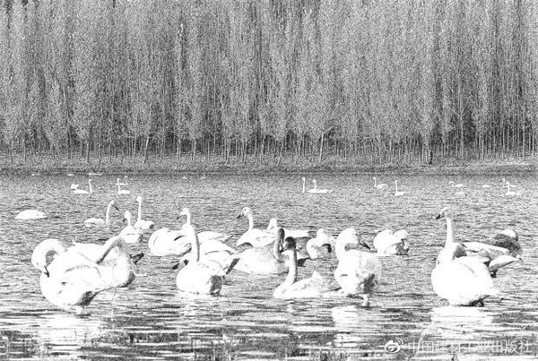 《園林植物造景》