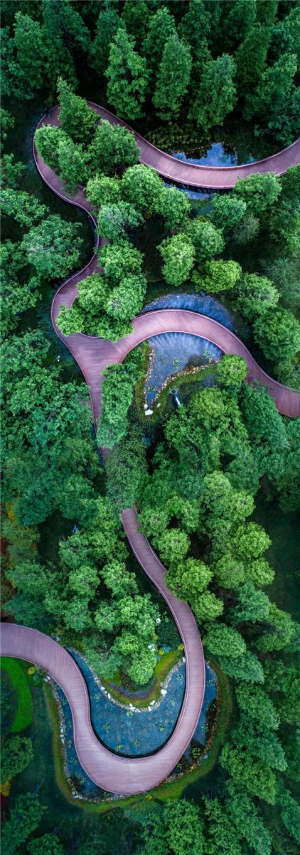 墨刻景觀|綠地長沙麓湖郡體驗區