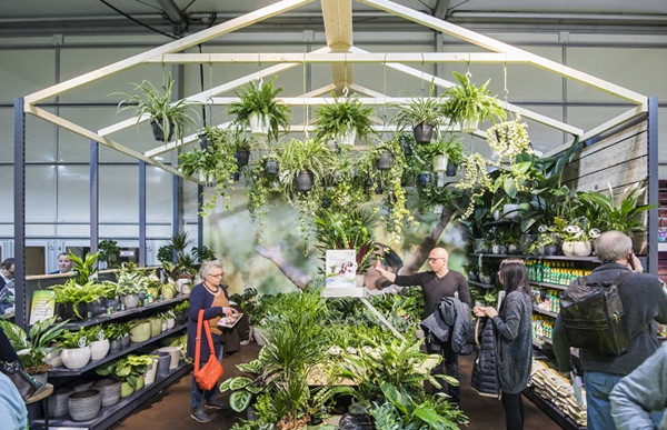 莫斯科花卉展將按原計劃在9月8日至10日舉行