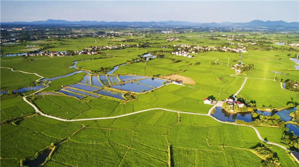 段進(jìn)院士：關(guān)于《國(guó)土空間規(guī)劃城市設(shè)計(jì)指南》編制工作的幾點(diǎn)思考