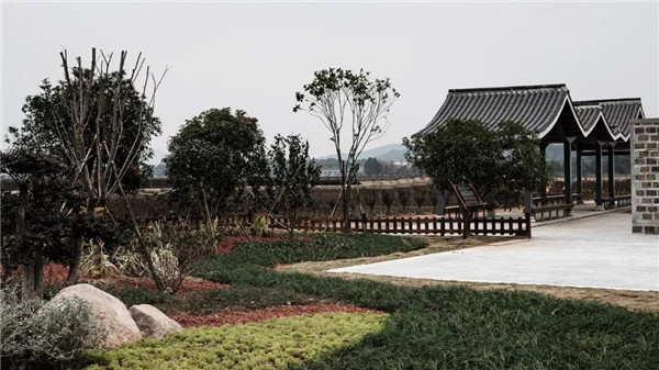 偶木景觀|千年陸坊：心學故里的時代新生