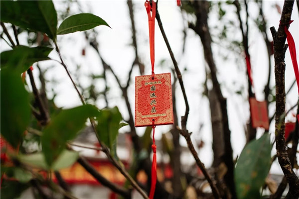 偶木景觀|千年陸坊：心學故里的時代新生