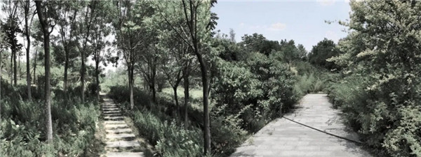 棲地設計丨鄭州滎陽融創(chuàng)?御棲玖里