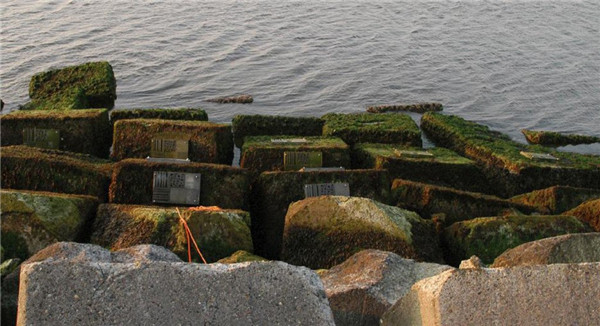 耿火樂：蘭堤防體系－順應大自然的演變