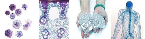 直播預告丨?阿普貝思景觀實踐與思考