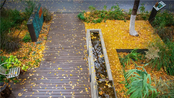 直播預告丨?阿普貝思景觀實踐與思考