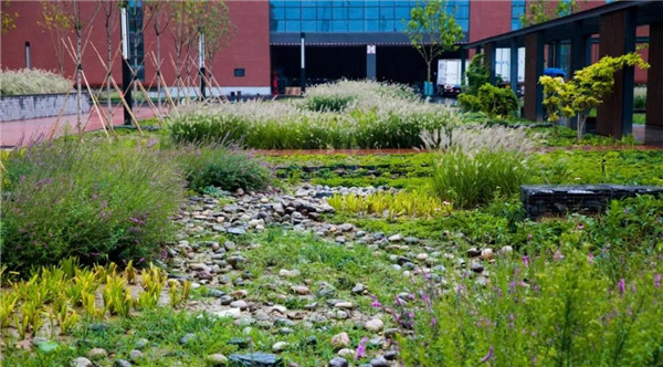 直播預告丨?阿普貝思景觀實踐與思考