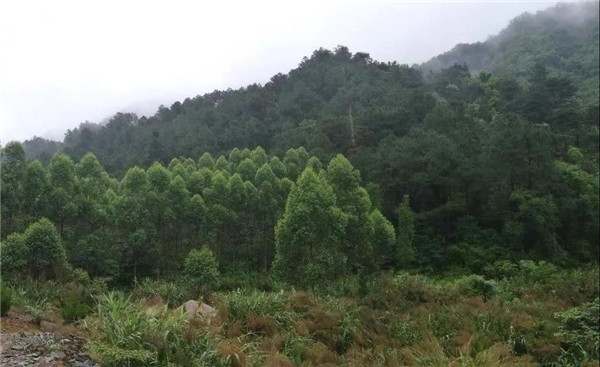 直播預告丨?阿普貝思景觀實踐與思考