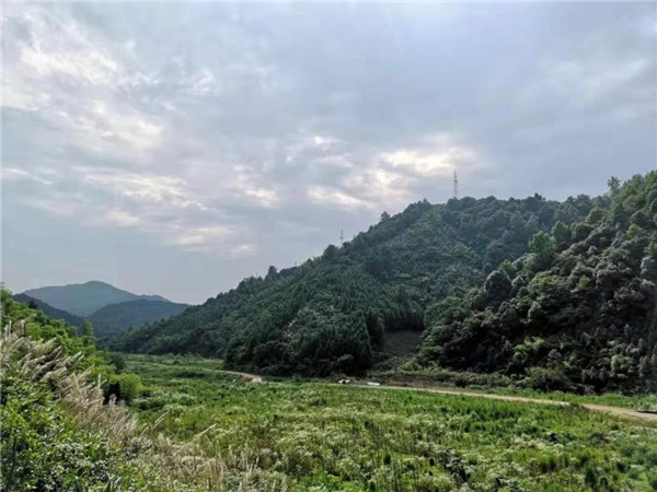 直播預告|楊棋:九華霄云谷設計分享