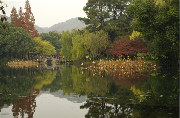 張曉鳴:審美引導也是園林人的使命