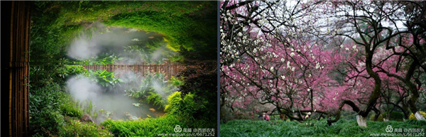 張曉鳴:審美引導也是園林人的使命