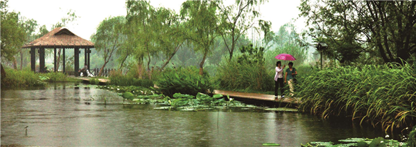 張曉鳴:審美引導也是園林人的使命
