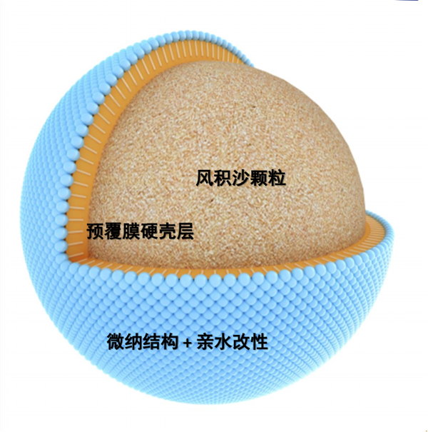 蘇雨明:透水鋪裝在海綿城市的應用