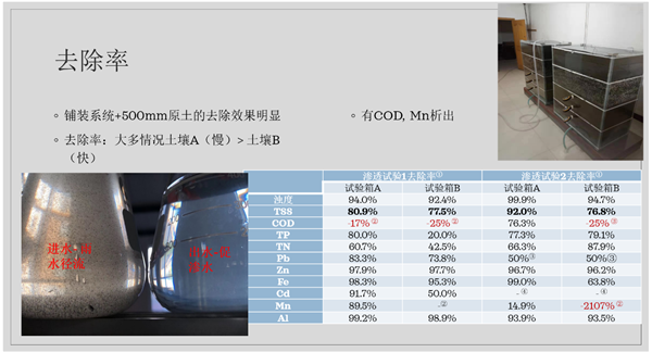 蘇雨明:透水鋪裝在海綿城市的應用