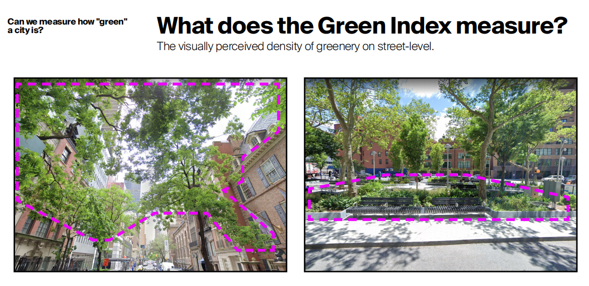楊竣程:街道綠化程度的價值