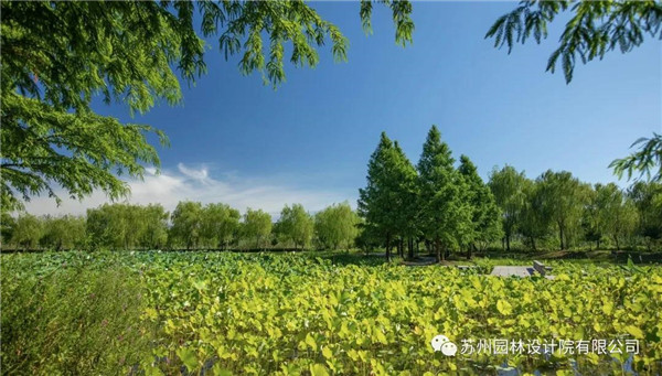 蘇州園林設計院榮獲2020(IFLA)AAPME杰出獎