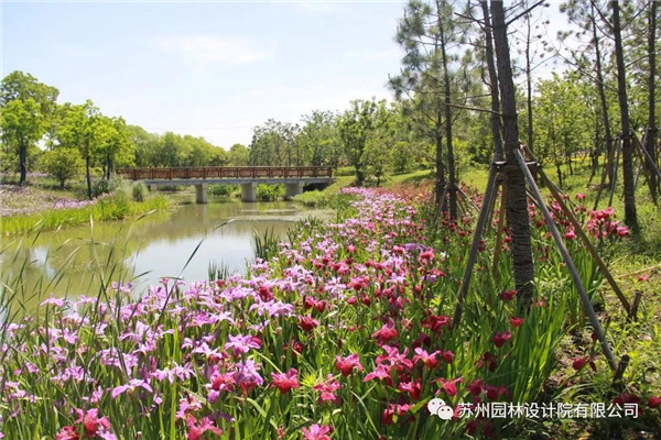 蘇州園林設計院榮獲2020(IFLA)AAPME杰出獎