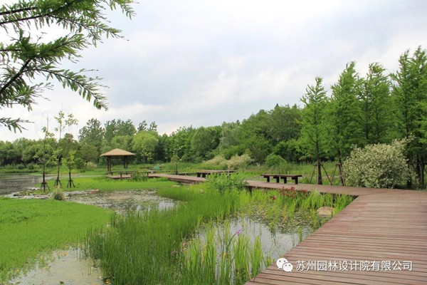 蘇州園林設計院榮獲2020(IFLA)AAPME杰出獎